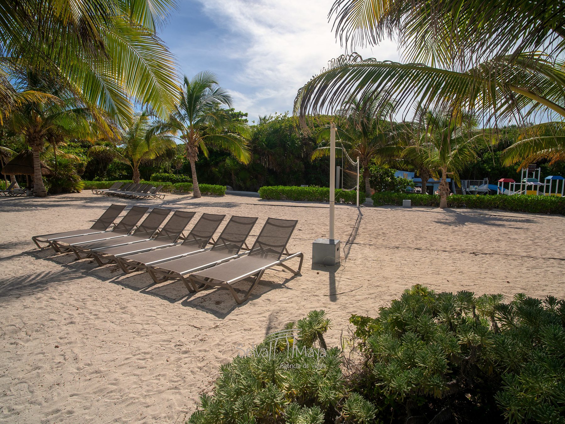 Playa con camastros del Grand Sirenis Riviera Maya