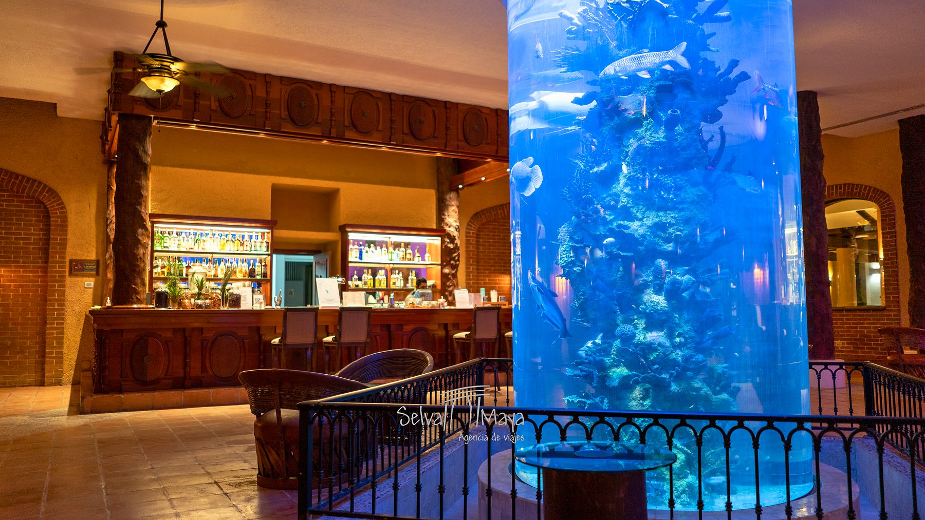 Lobby bar con acuario en Iberostar Selection Paraíso Lindo