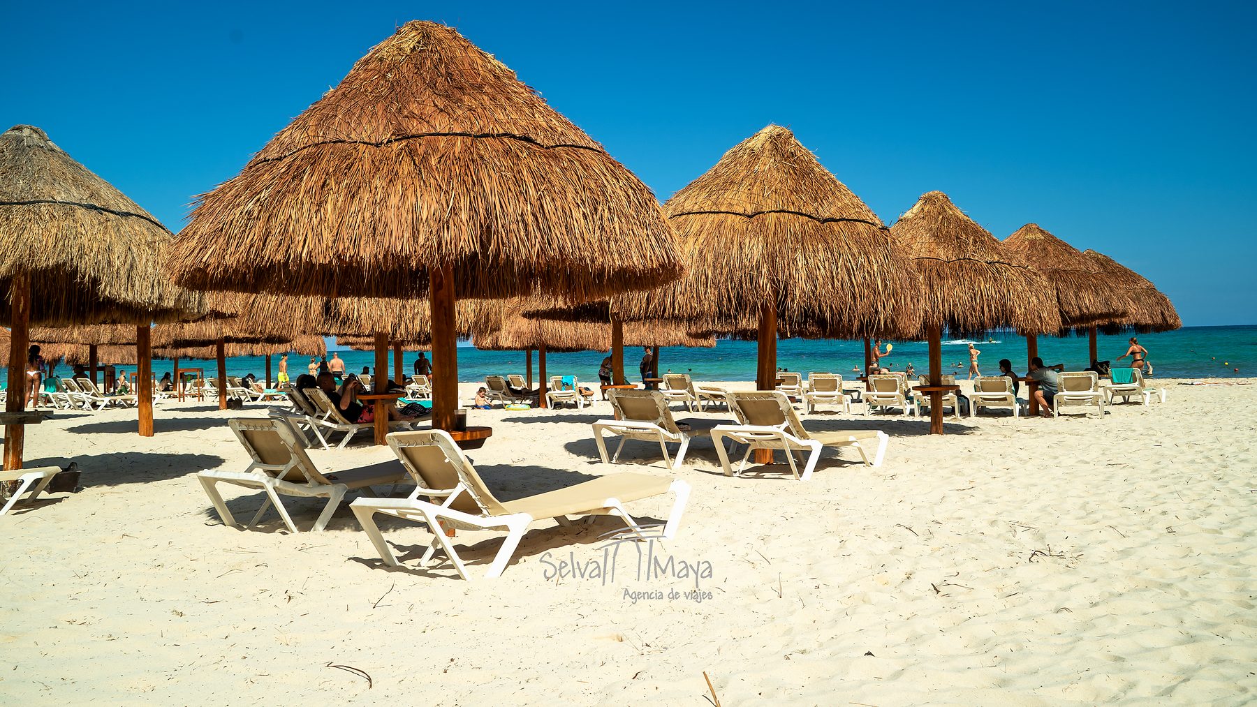 Palapas y camastros en la playa en Iberostar Selection Paraíso Lindo