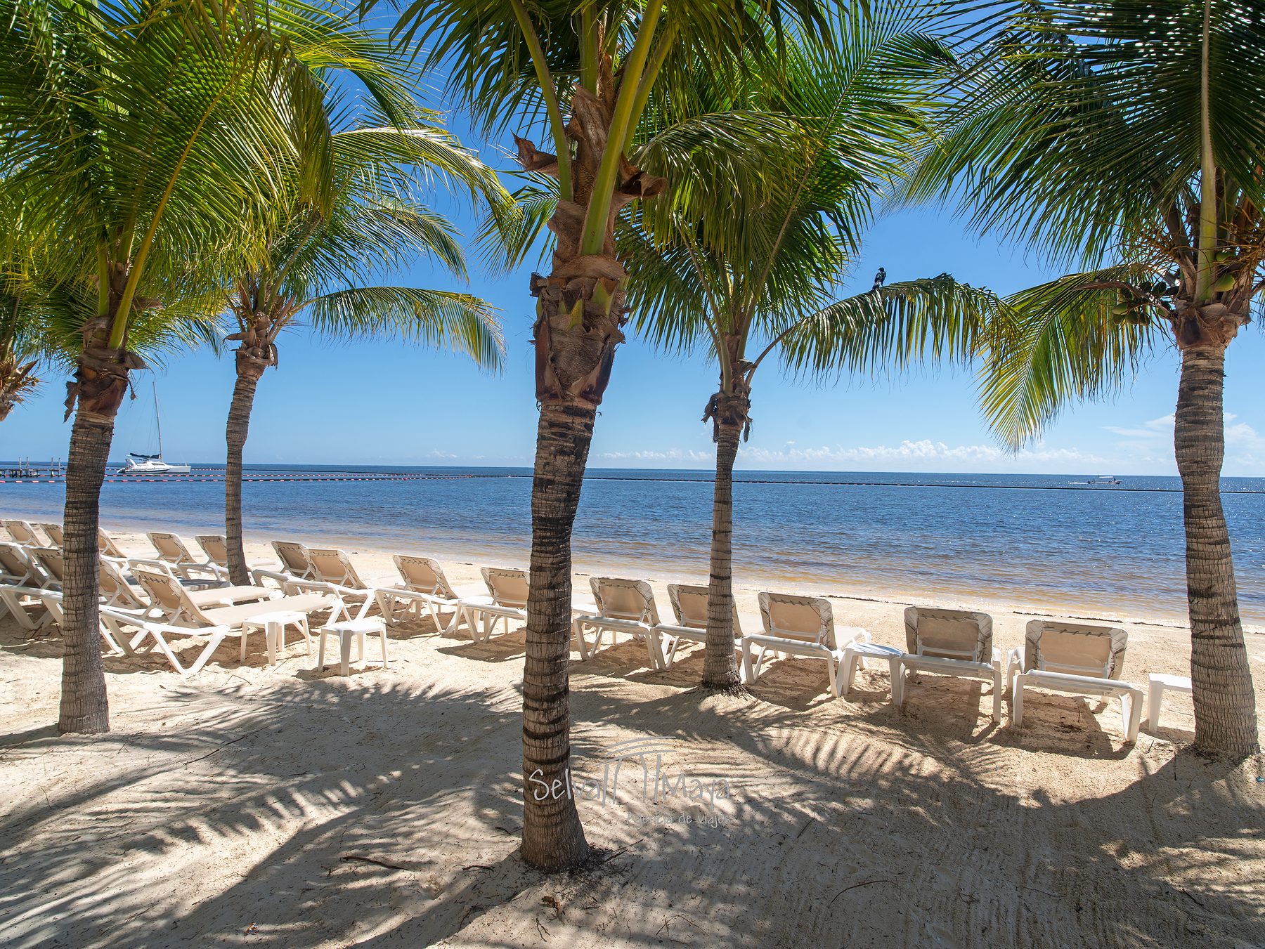 Playa con palmeras y camastros en Sensira Resort Riviera Maya