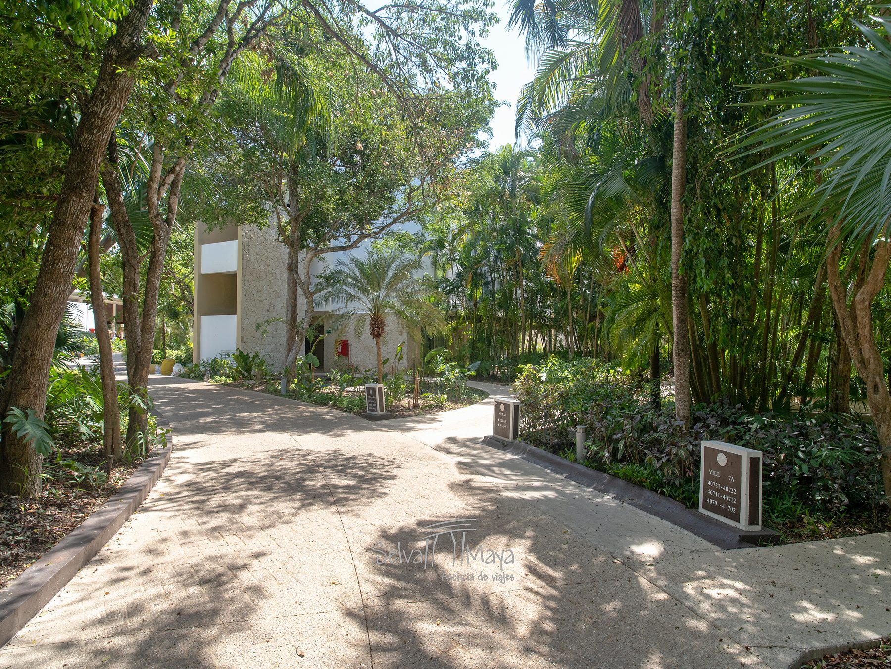 Andador hacia las suites en Bahía Príncipe Escape Sian Ka'an