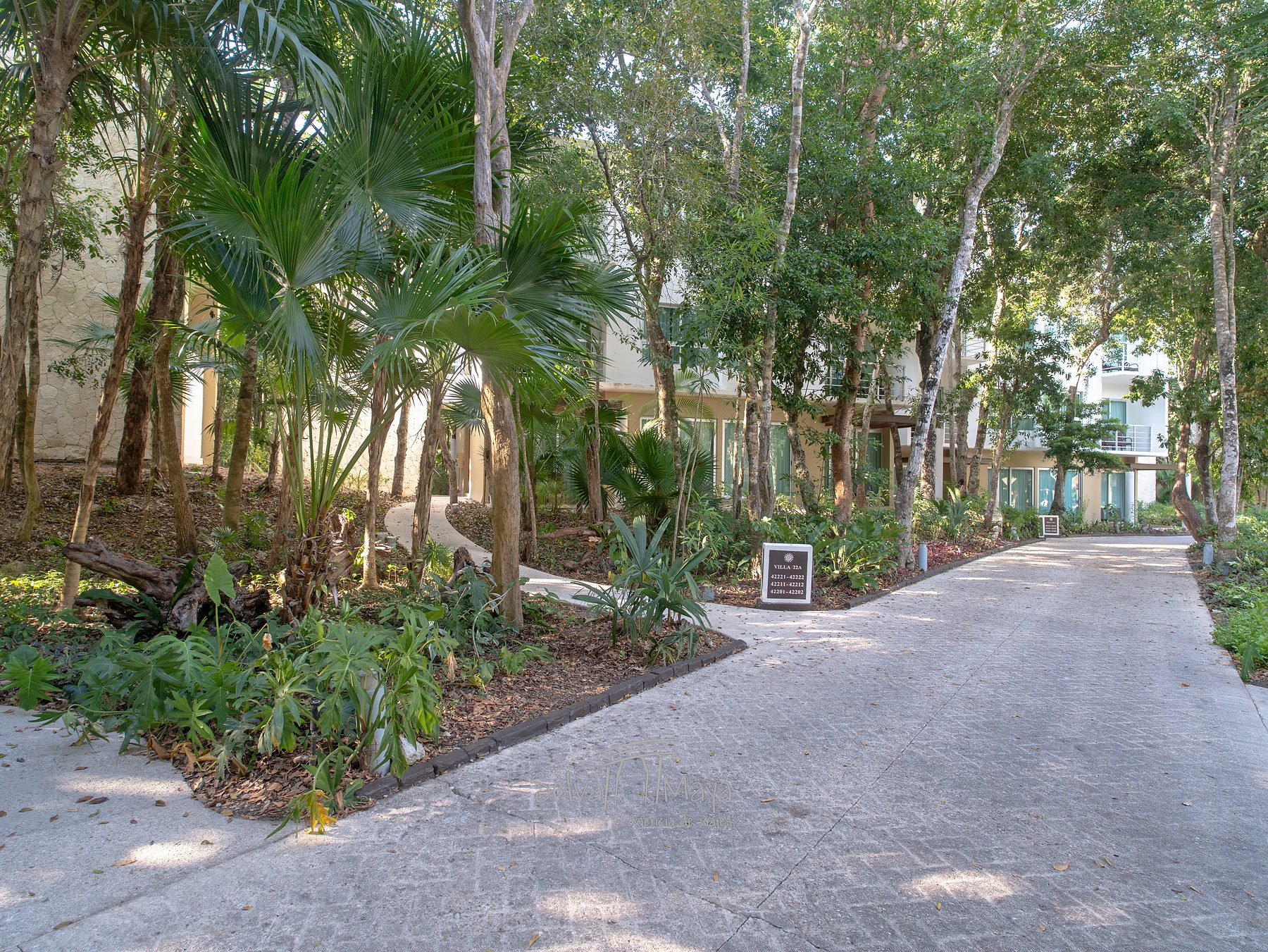 Villas del hotel entre la selva en Bahía Príncipe Escape Sian Ka'an