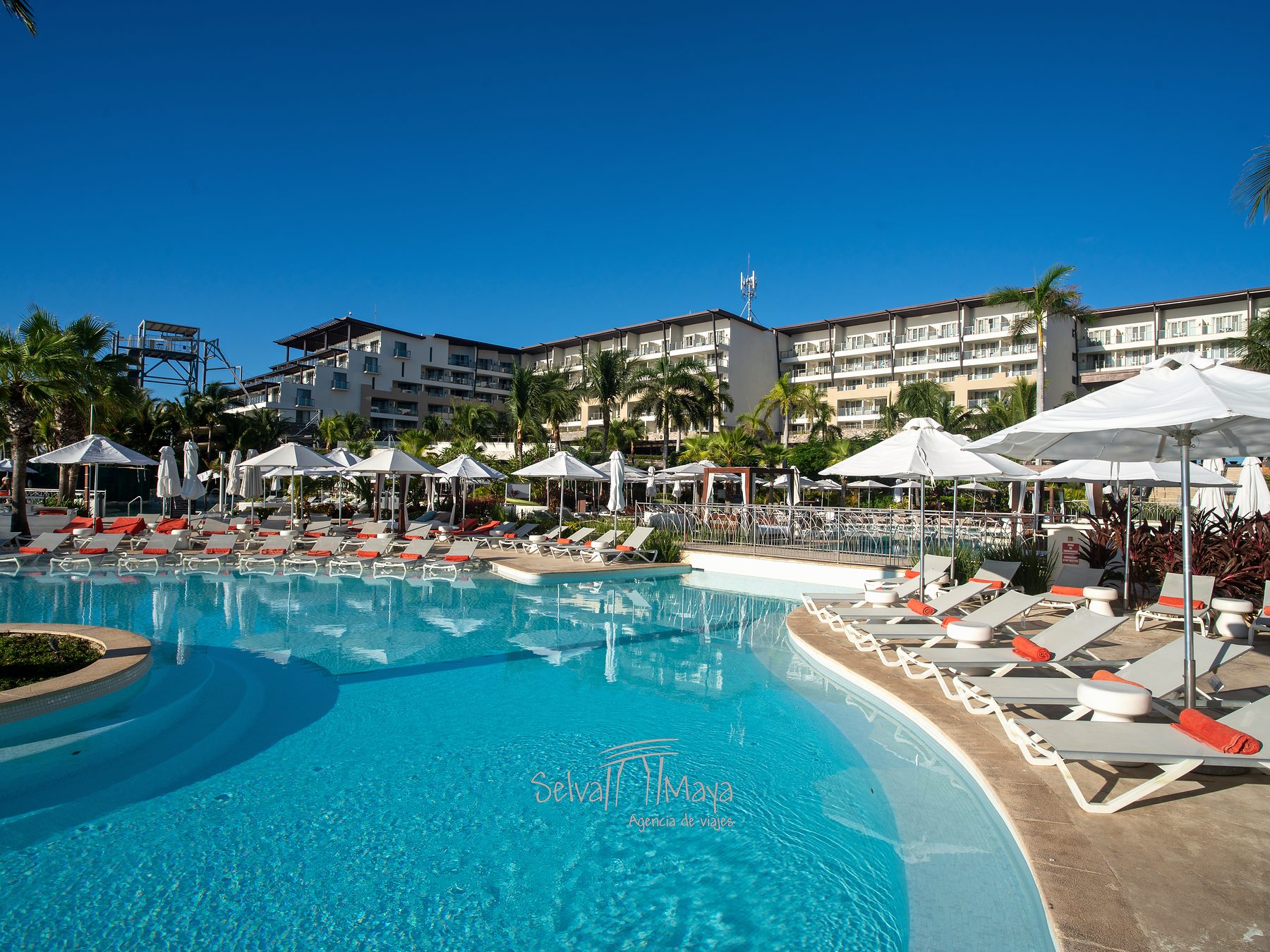 Alberca principal con camastros en Dreams Natura Resort & Spa