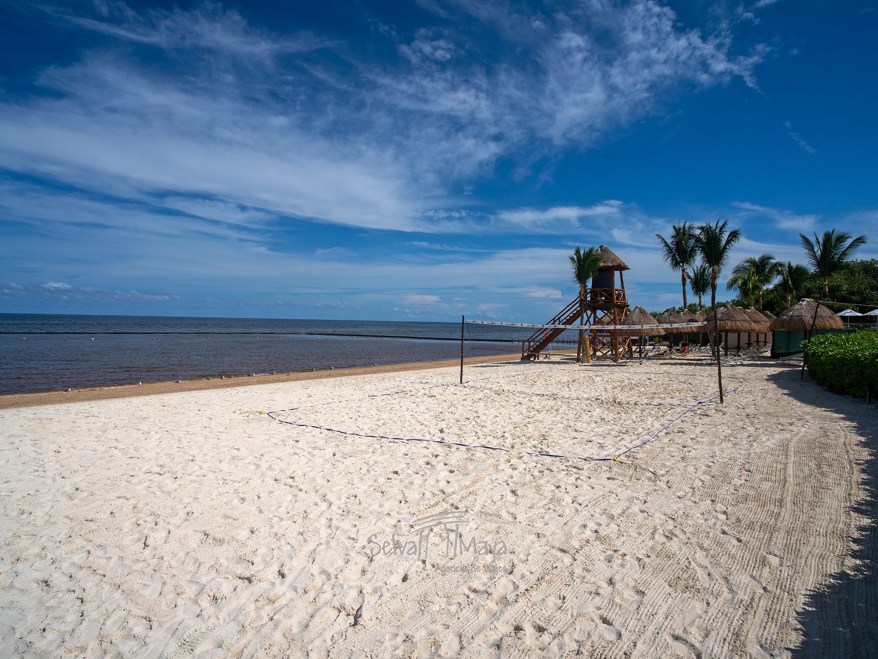 Cancha de voleibol en la playa de Dreams Natura Resort & Spa