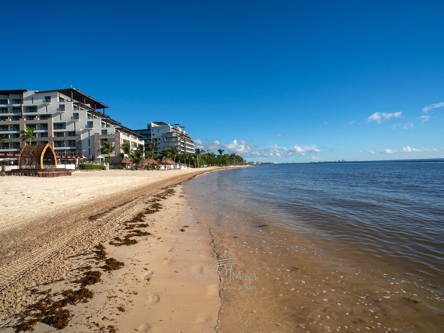 Playa y mar Caribe en Dreams Natura Resort & Spa