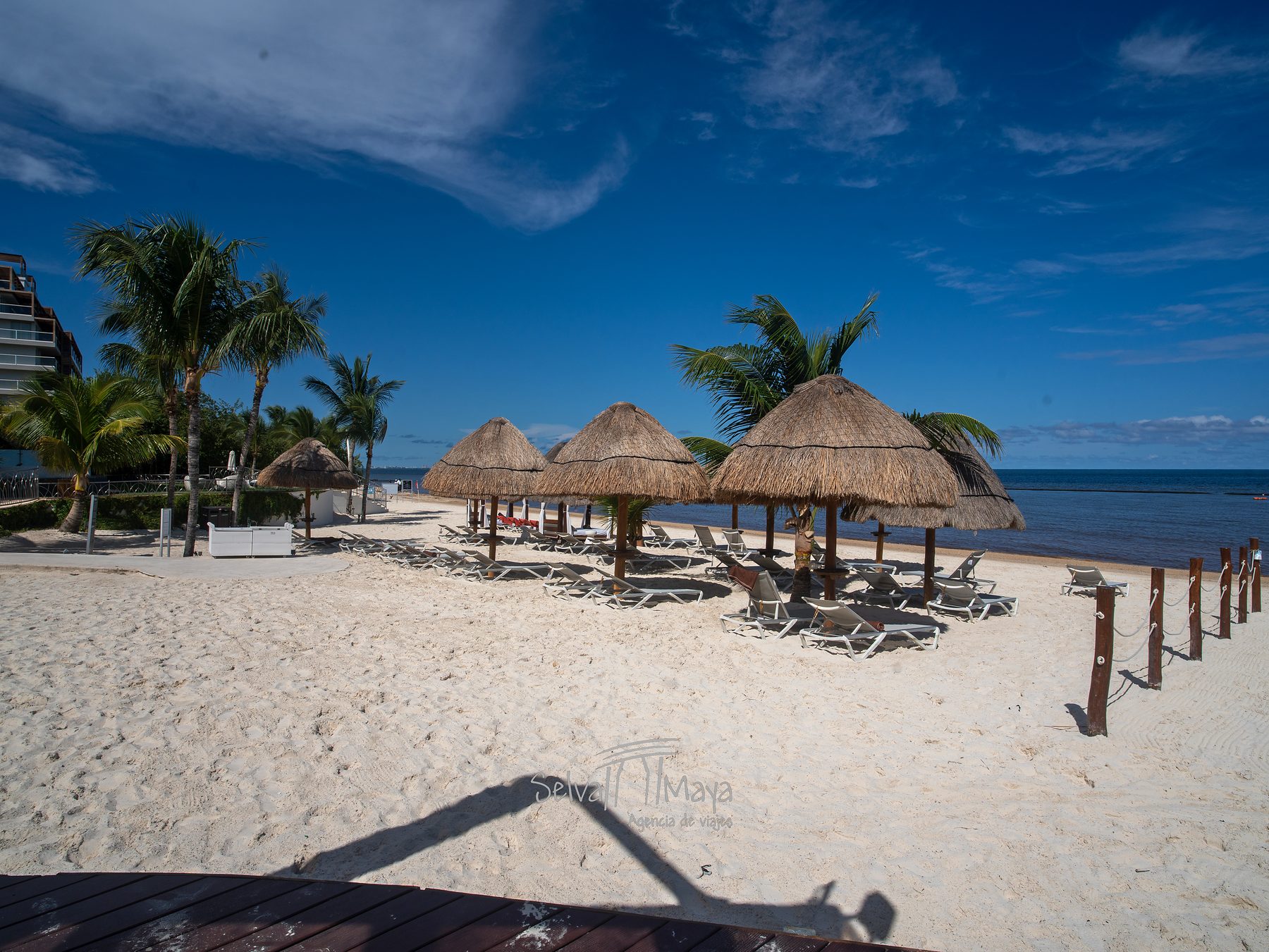 Zona de playa Preferred Club en Dreams Natura Resort & Spa