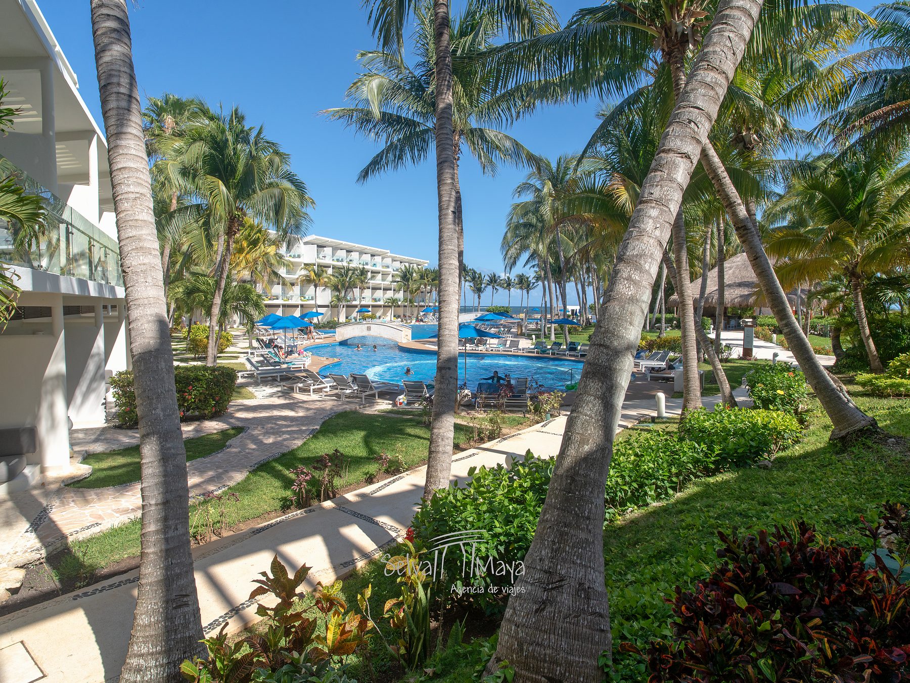 Andador entre palmeras hacia la alberca en Iberostar Selection Riviera Cancún