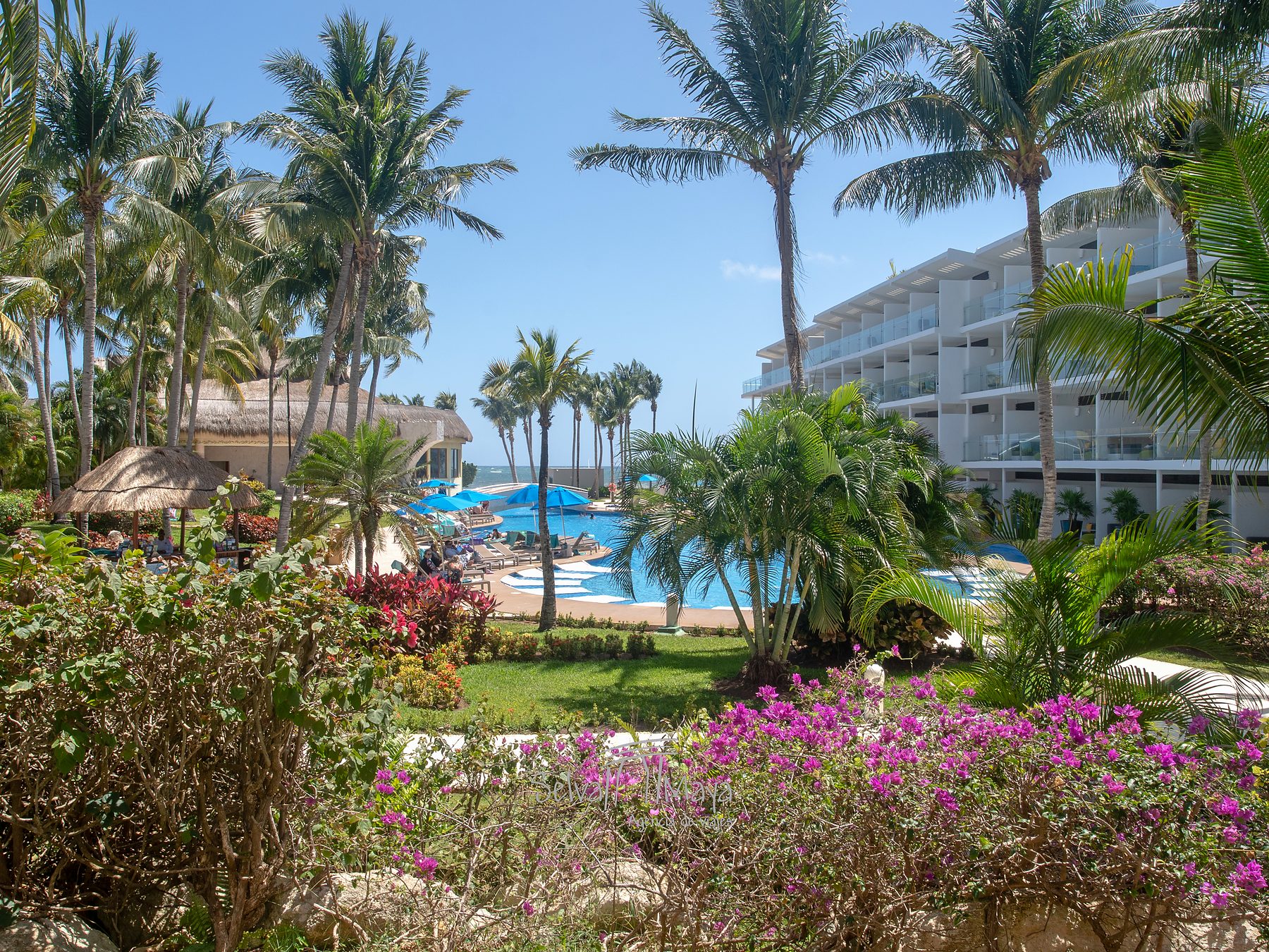 Jardines con bugambilias y vista al mar en Iberostar Selection Riviera Cancún