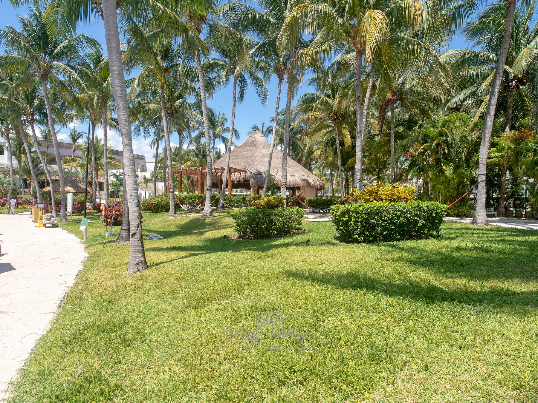 Jardines con palmeras y palapa en Iberostar Selection Riviera Cancún