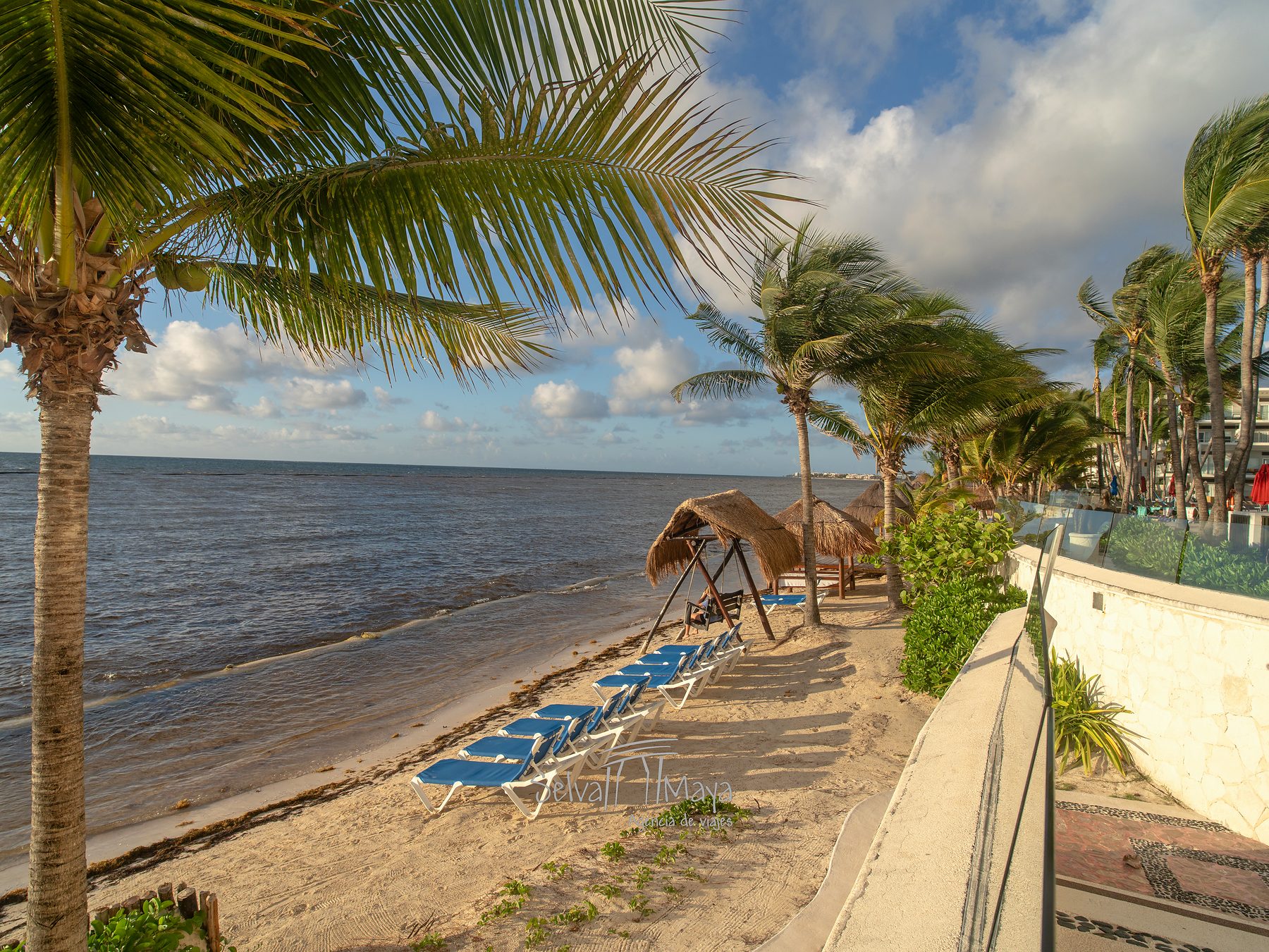 Playa con camastros y palapas en Iberostar Selection Riviera Cancún