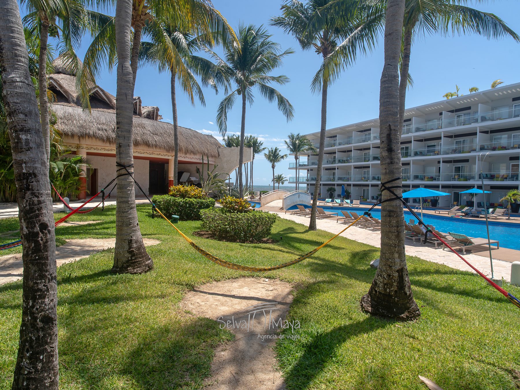 Zona de hamacas entre palmeras en Iberostar Selection Riviera Cancún