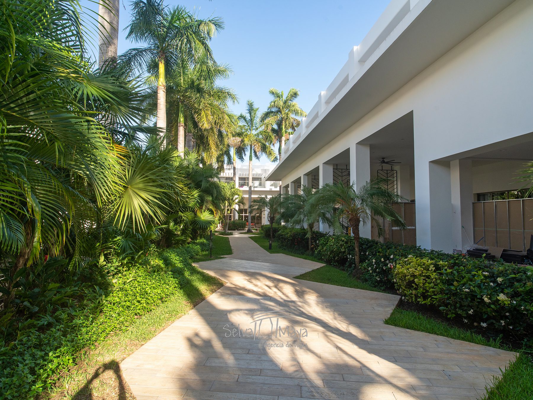 Andador entre jardines y edificios en Platinum Yucatán Princess