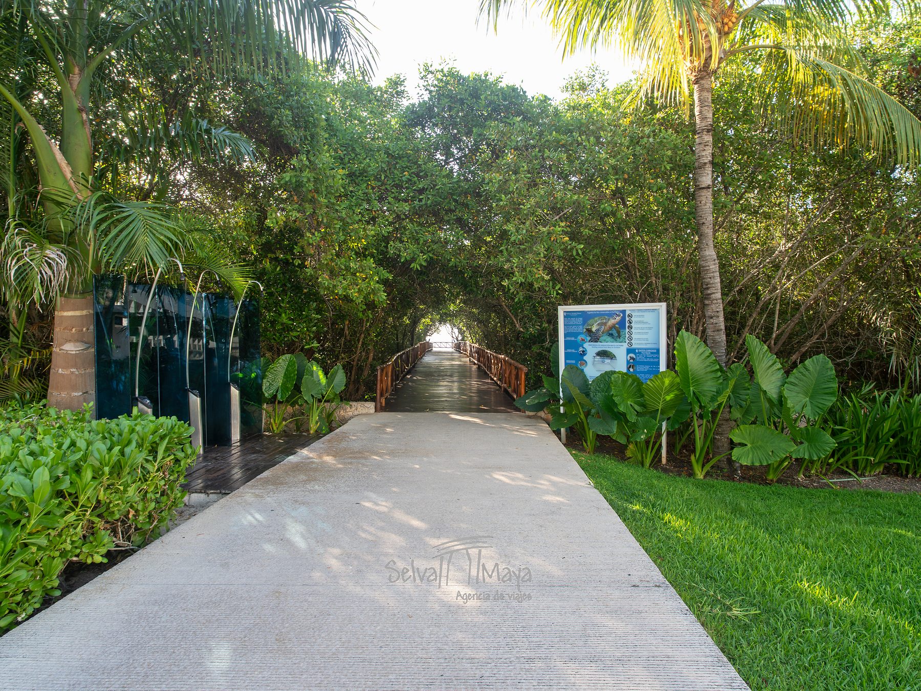 Andador hacia la playa en Platinum Yucatán Princess
