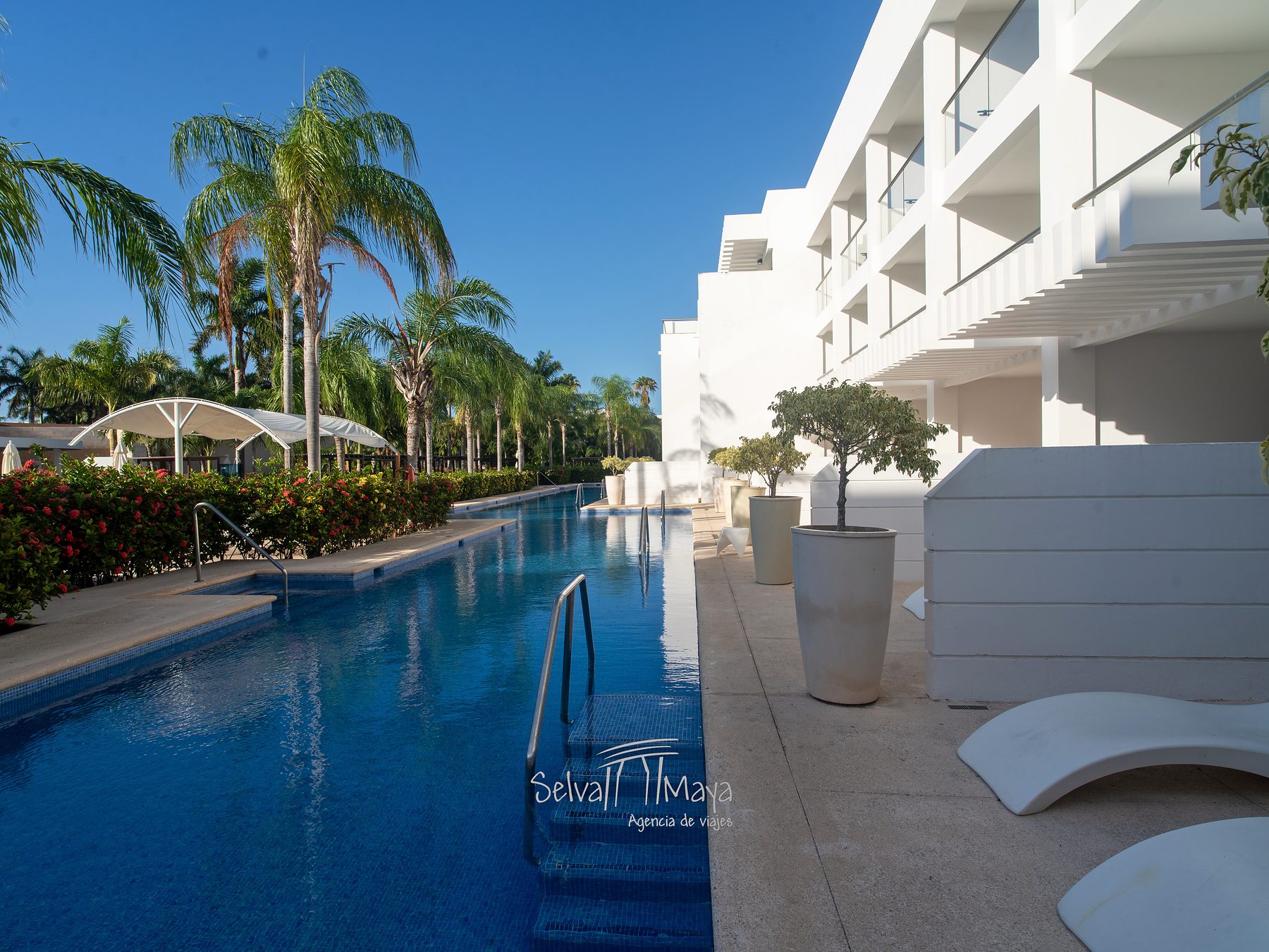 Habitaciones Swim Out con camastros en Platinum Yucatán Princess