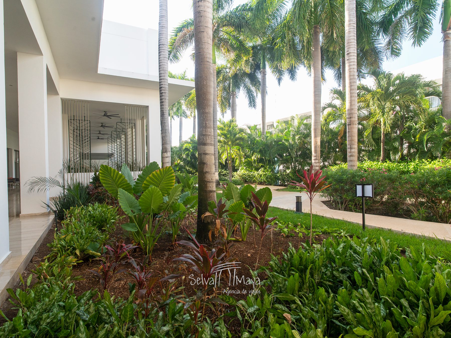 Jardines tropicales en Platinum Yucatán Princess