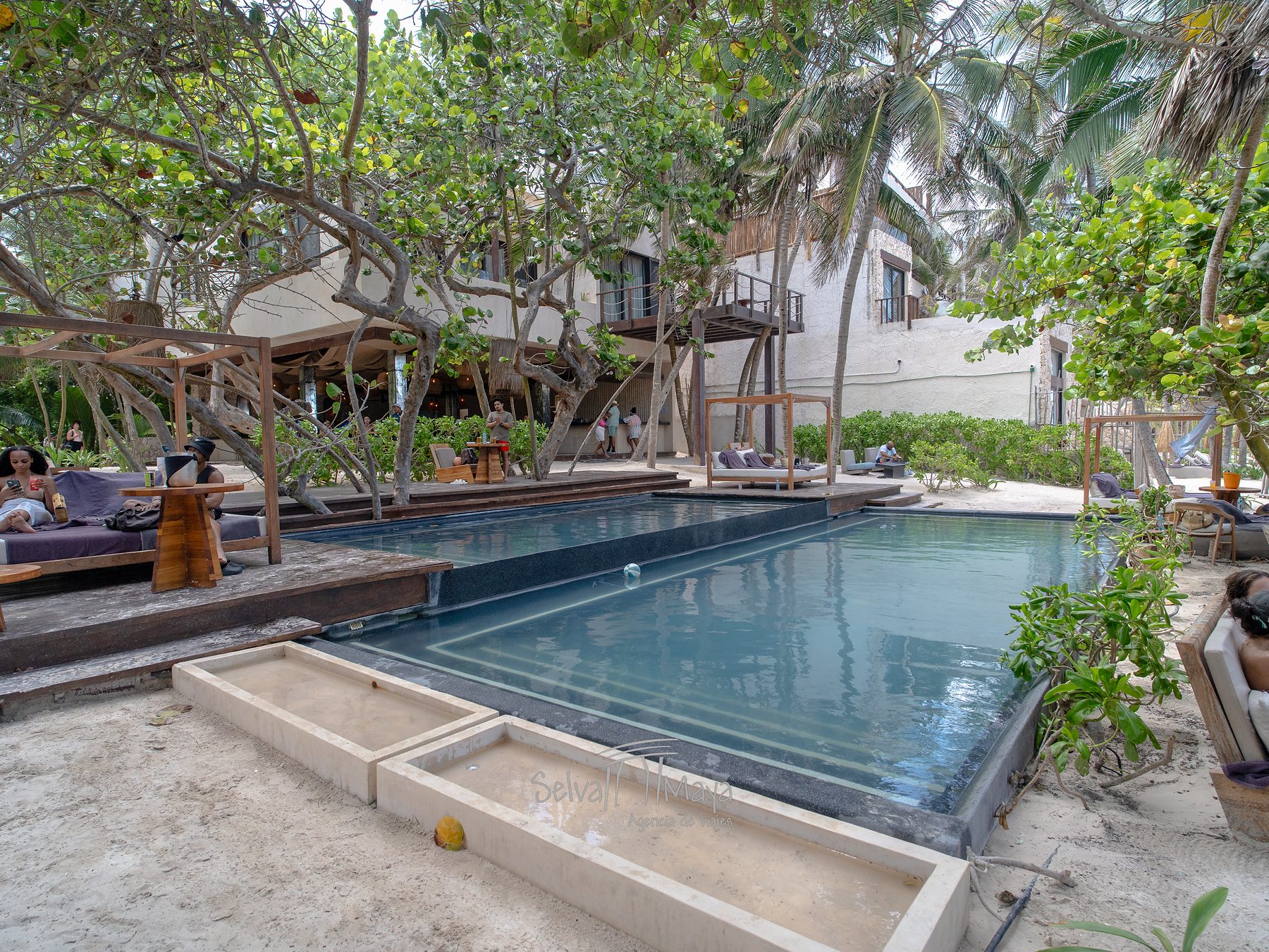 Alberca del club de playa entre árboles en Secrets Tulum