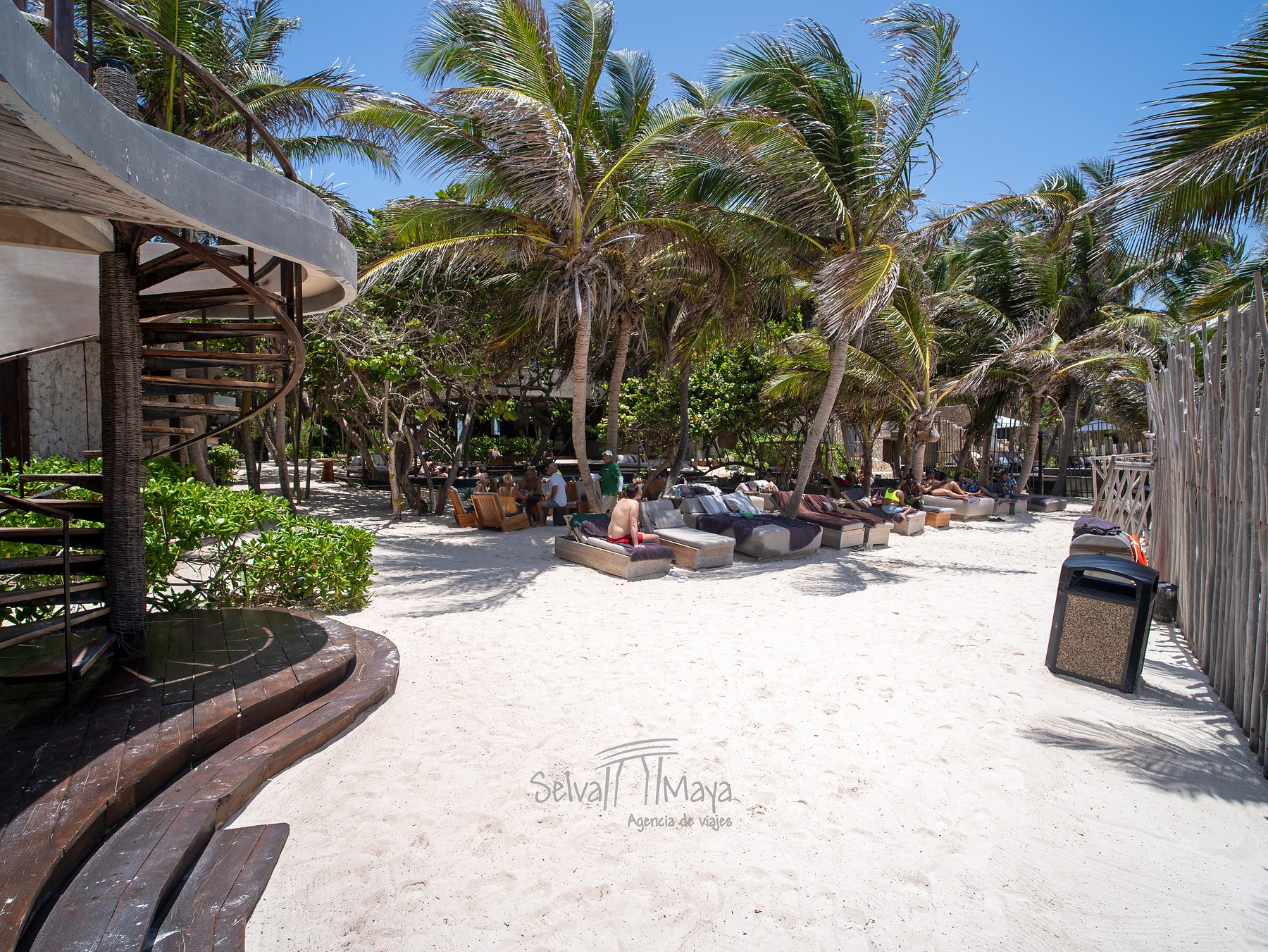 Club de playa con camastros entre palmeras en Secrets Tulum