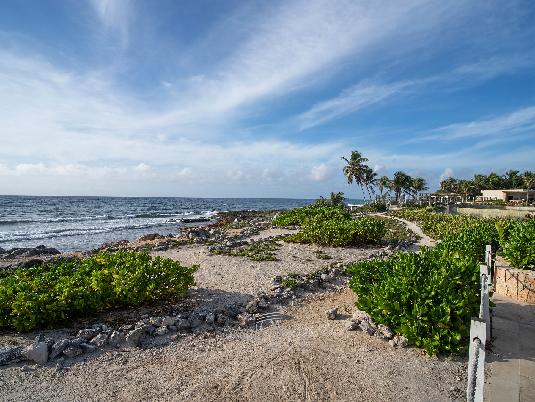 Costa de roca baja frente al hotel en TRS Yucatán Hotel