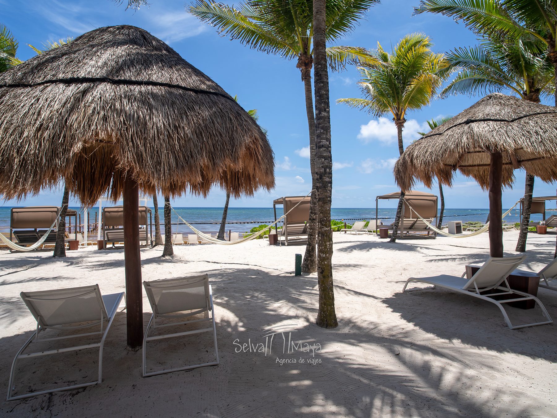 Palapas y camastros en La Jarra Beach Club en TRS Yucatán Hotel